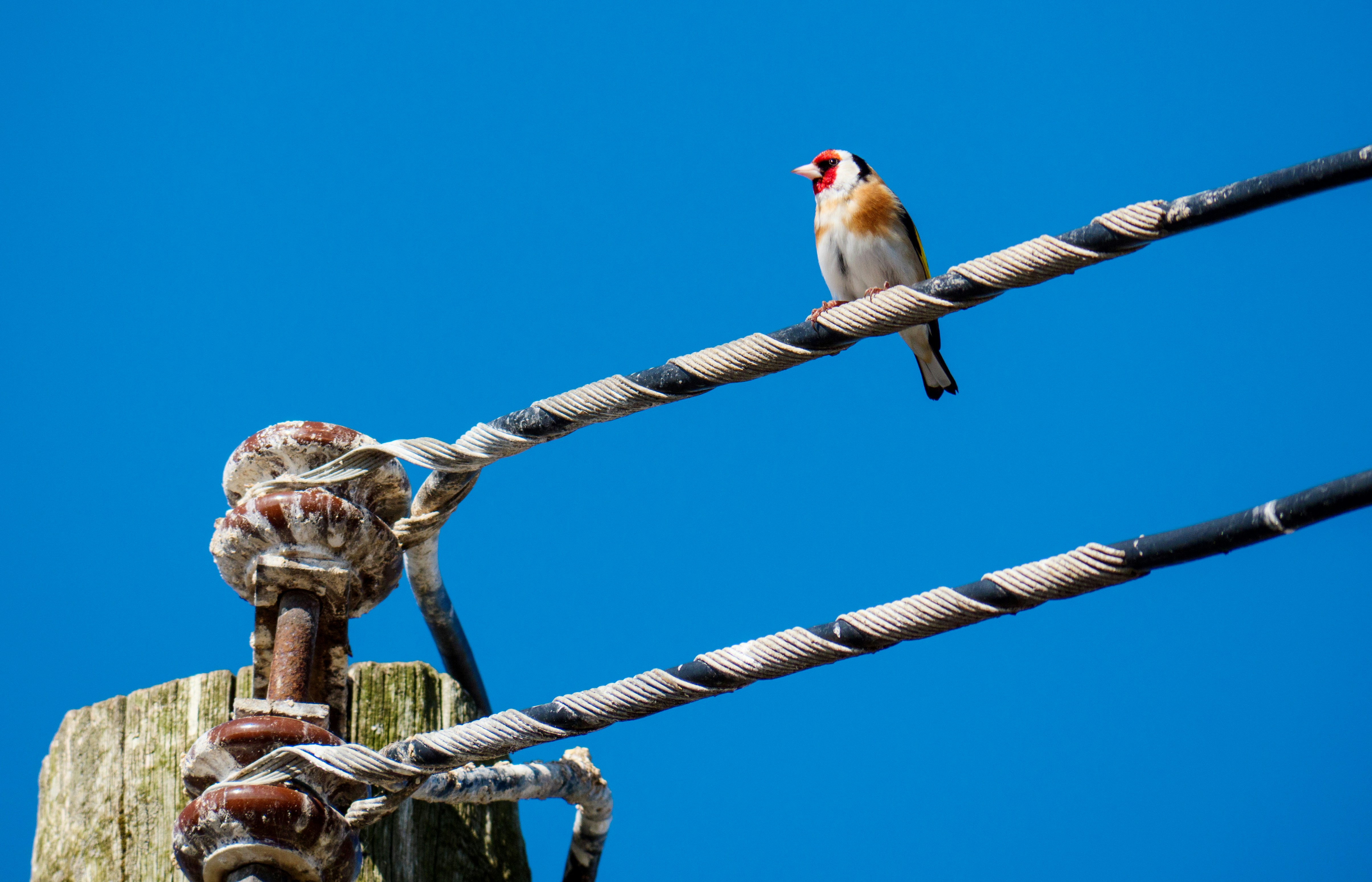 Photo by grievek1610begur