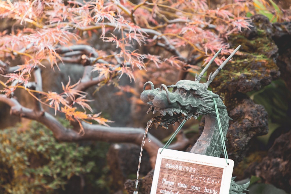 a statue of a dragon with a sign in front of it