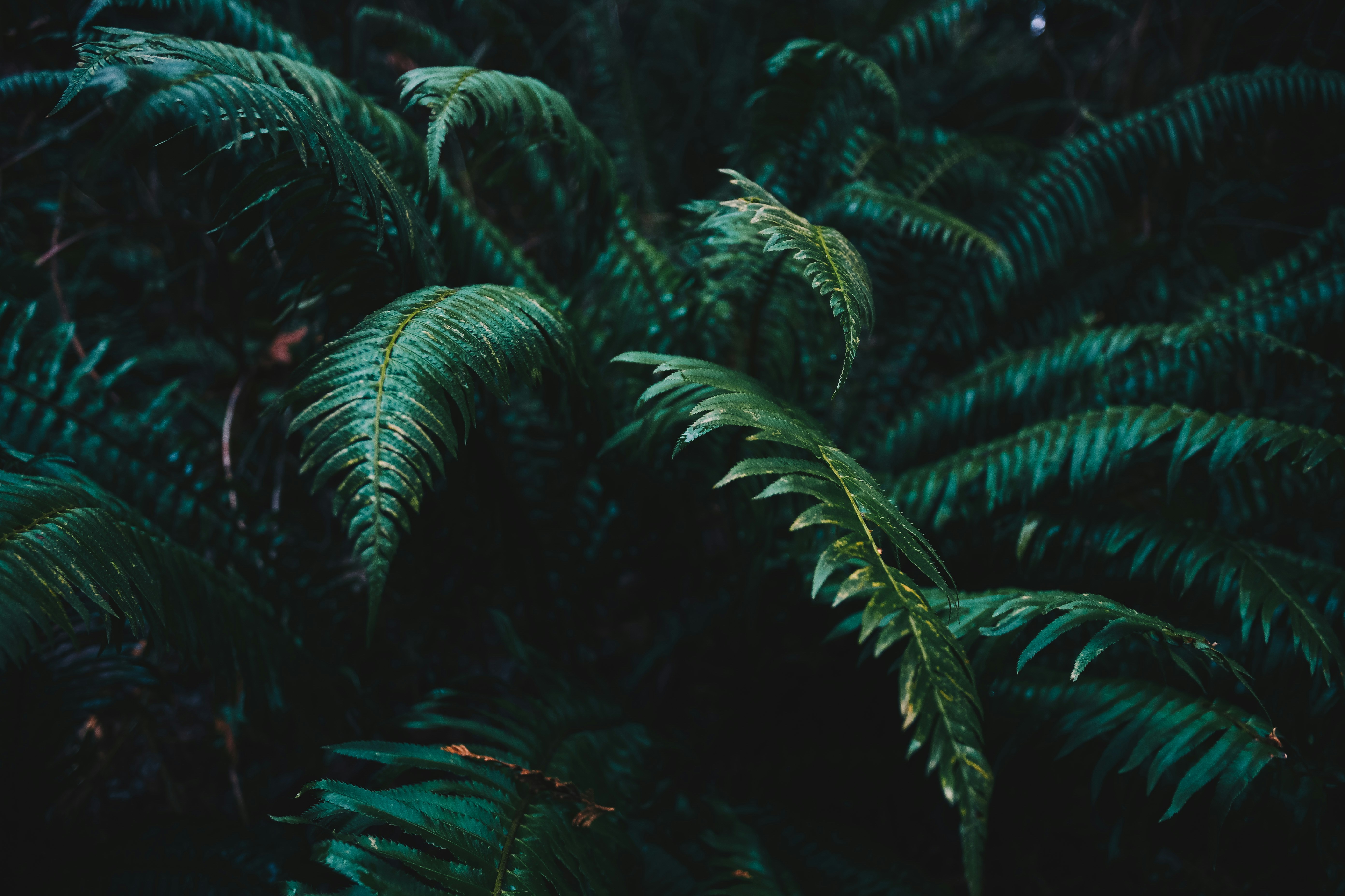 Photo by amandaedwardsen