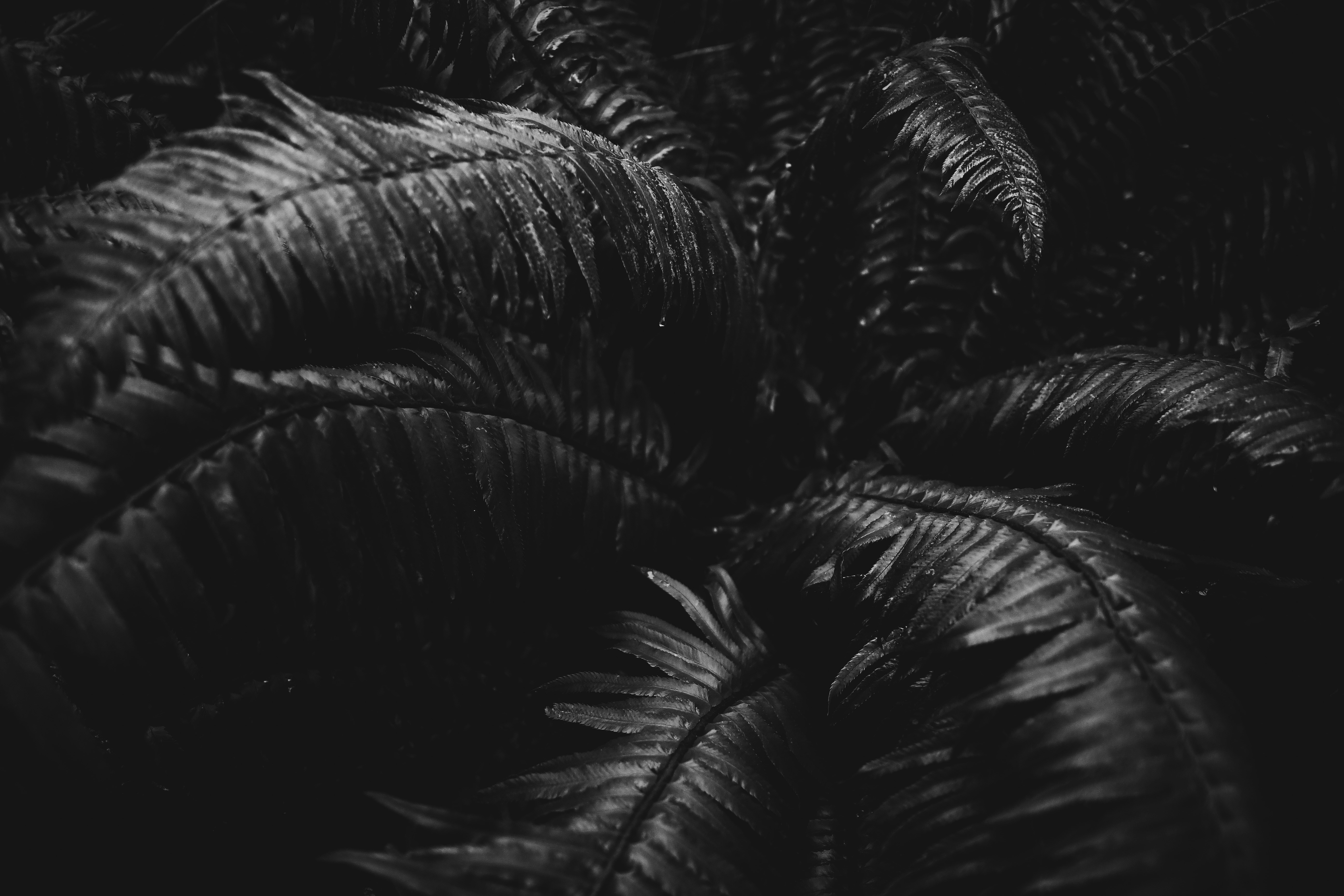 Photo by amandaedwardsen