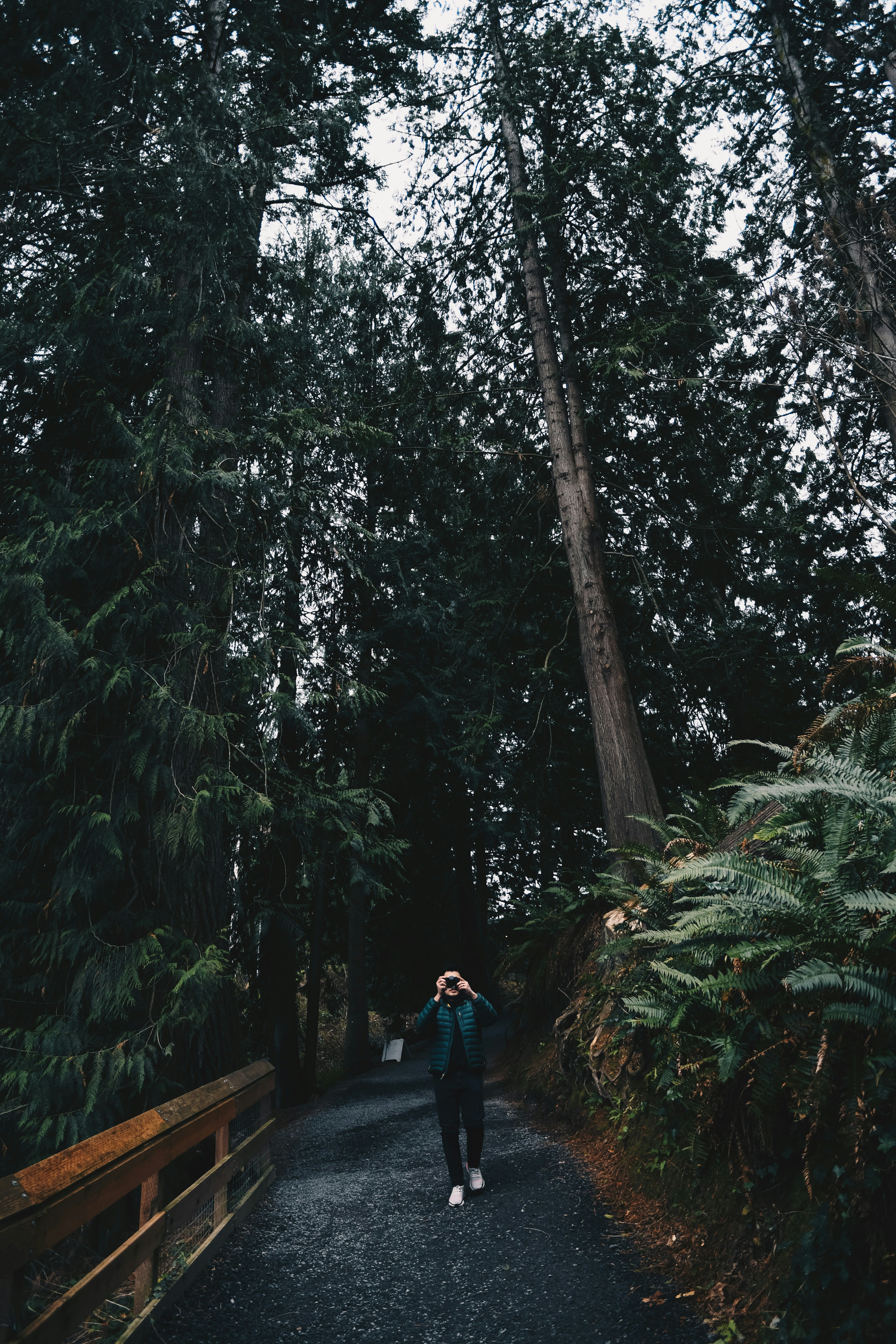 Photo by amandaedwardsen