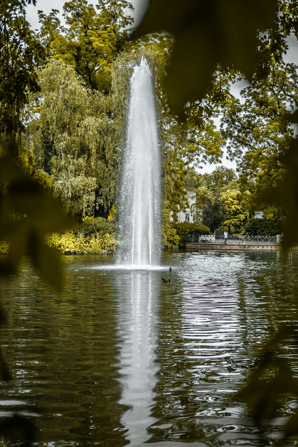 fountain in the middle of body of water near trees
