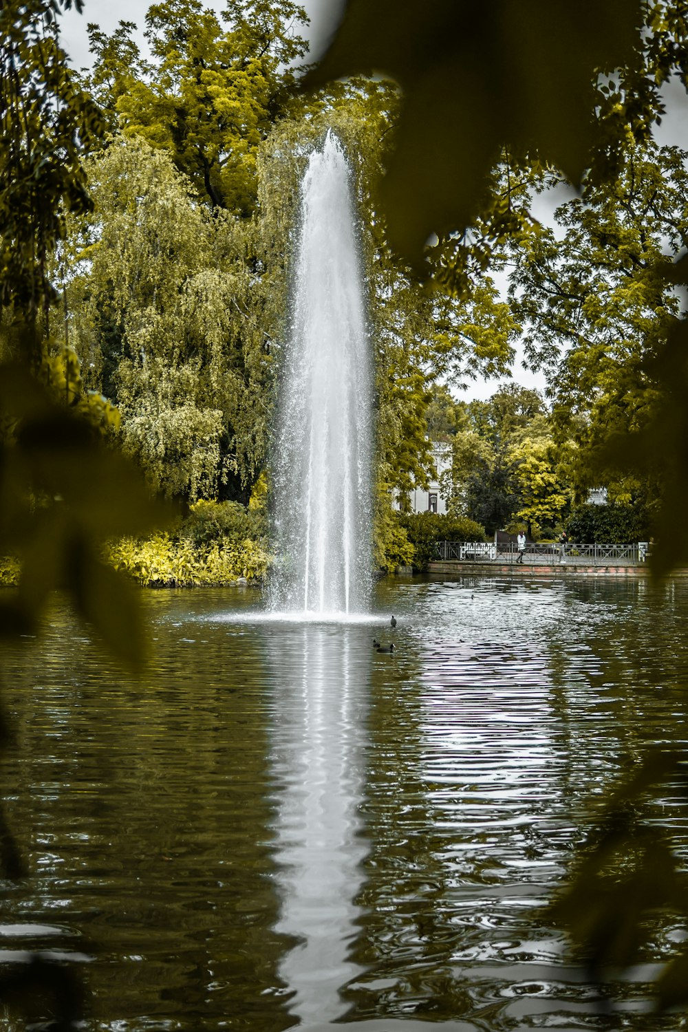 Brunnen in der Mitte des Gewässers in der Nähe von Bäumen