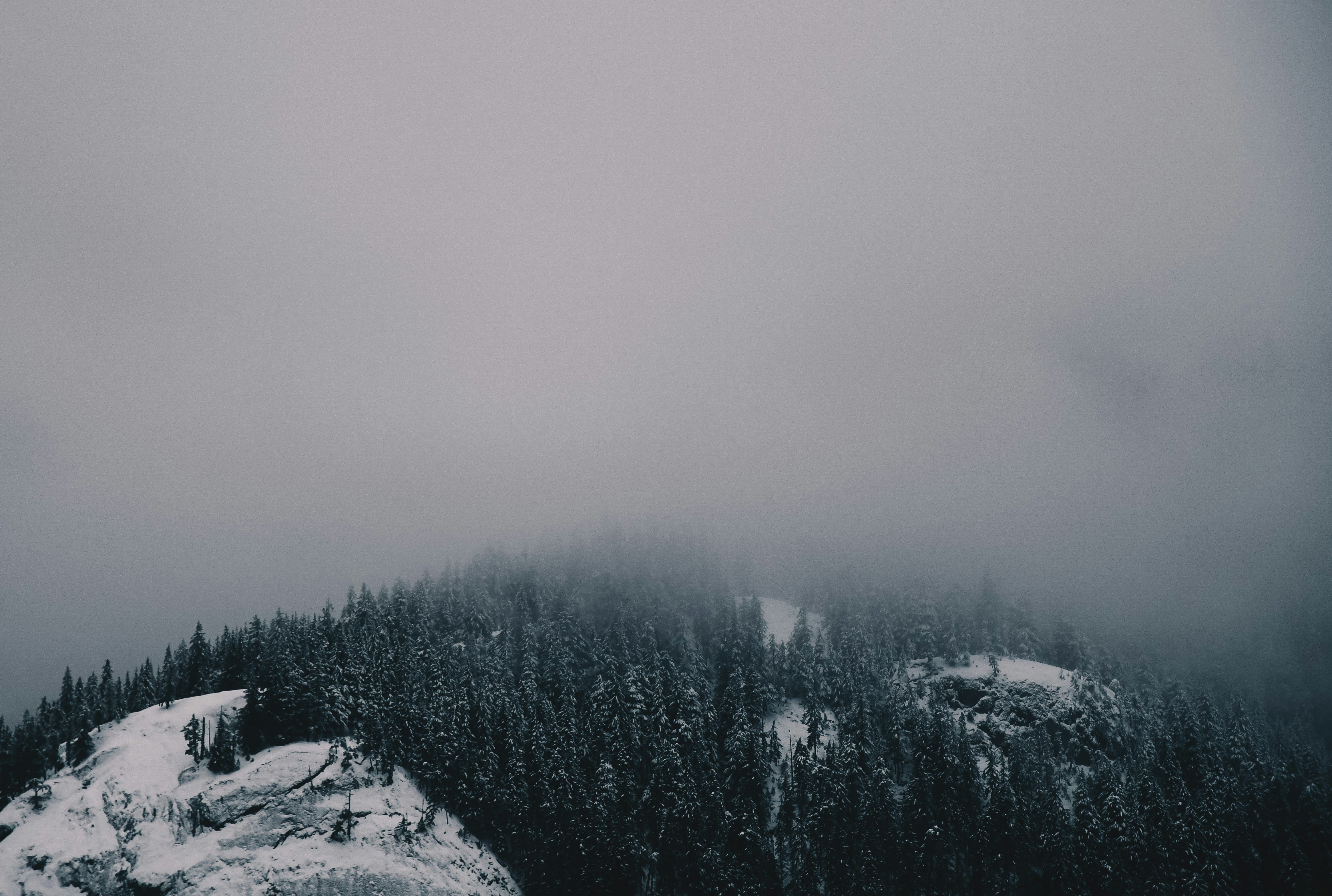 Photo by amandaedwardsen