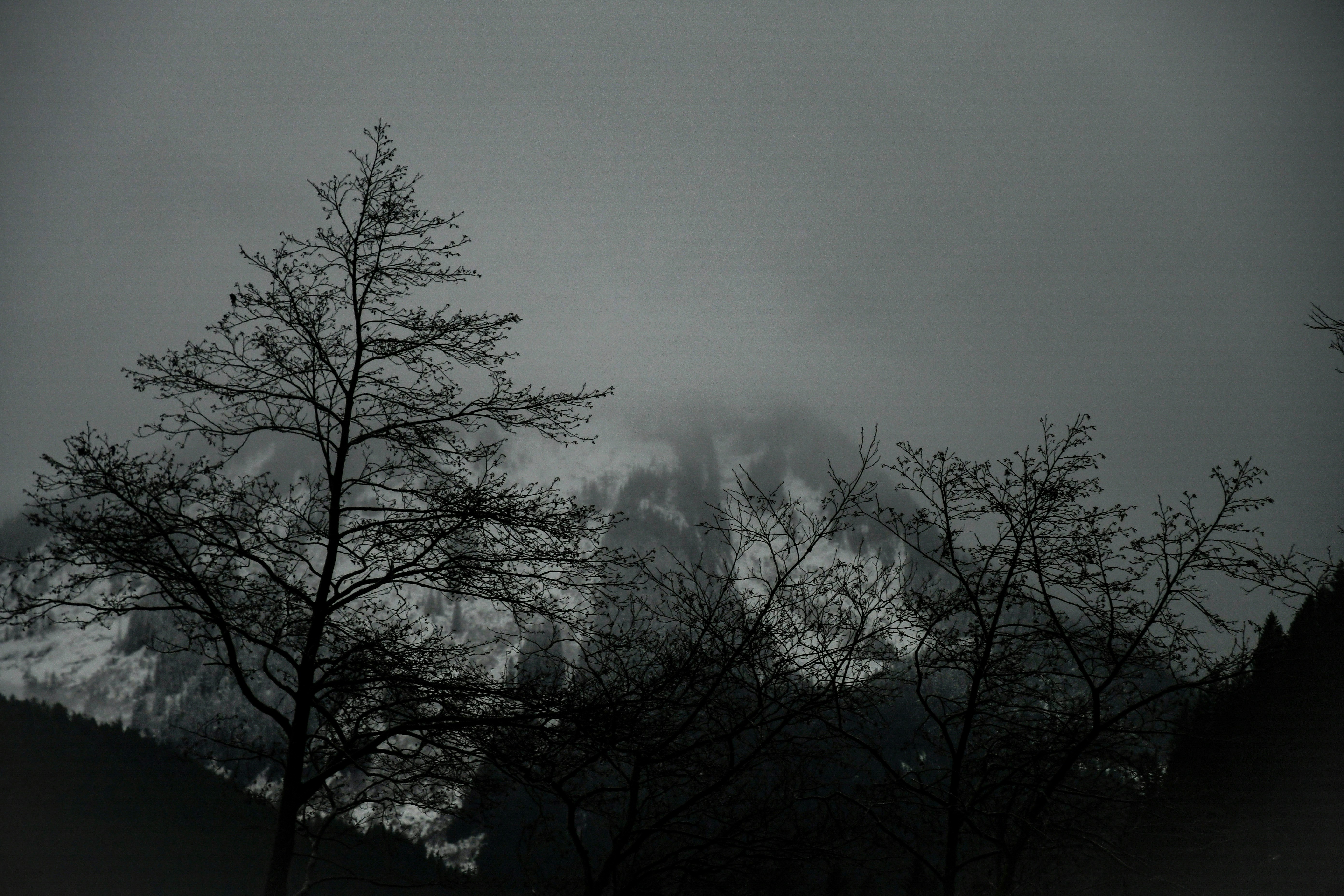 Photo by amandaedwardsen