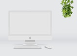Minimalist workspace featuring a desktop computer and a potted plant.