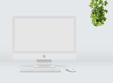 A clean, minimalist office desk setup featuring dual monitors, a mechanical keyboard, and a small potted plant.