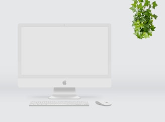 Minimalist workspace featuring a desktop computer and plant.