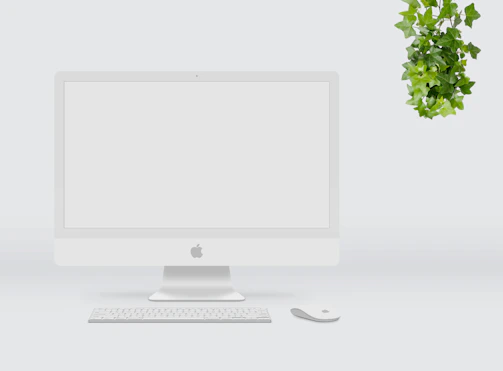 Minimalist workspace featuring a basic nature mini aquarium adding a touch of nature.