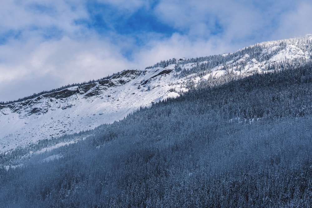 Photographie en contre-plongée des Alpes de montagne pendant la journée