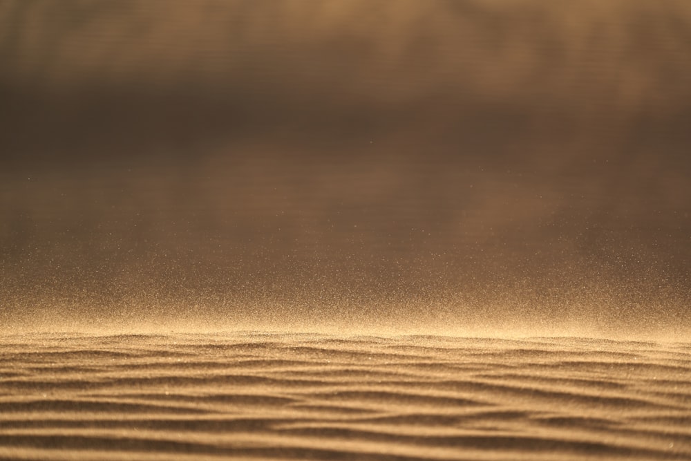 selective focus photography of brown sand