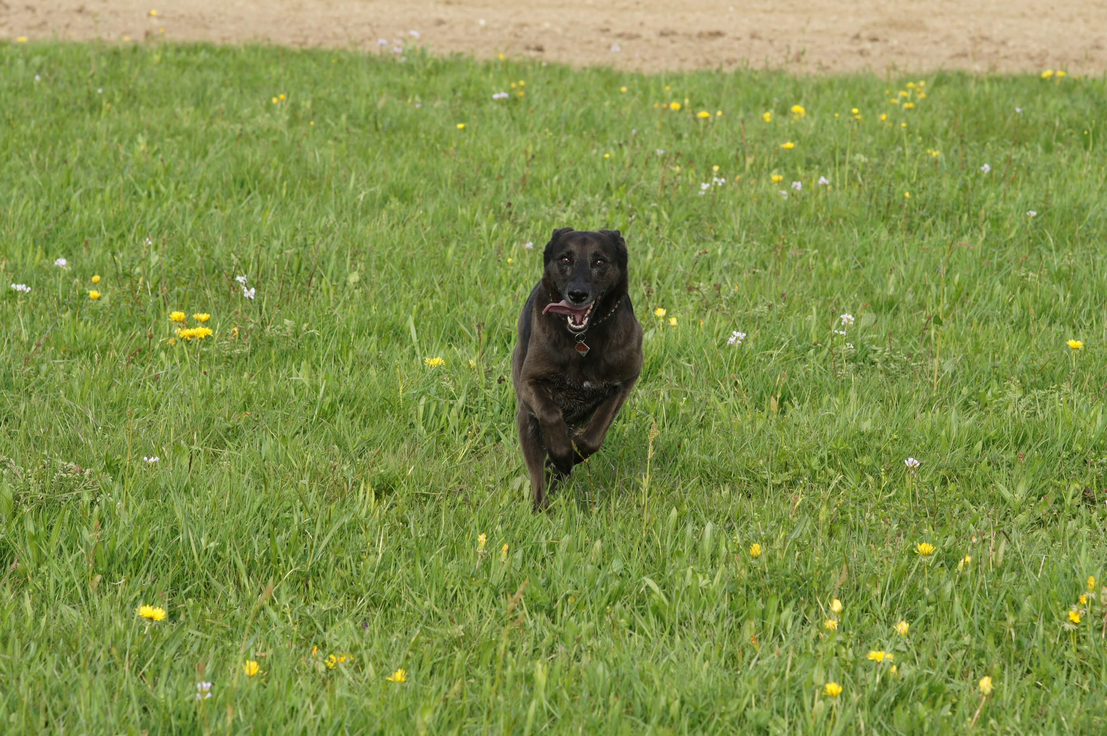 Photo by wolfgang_hasselmann