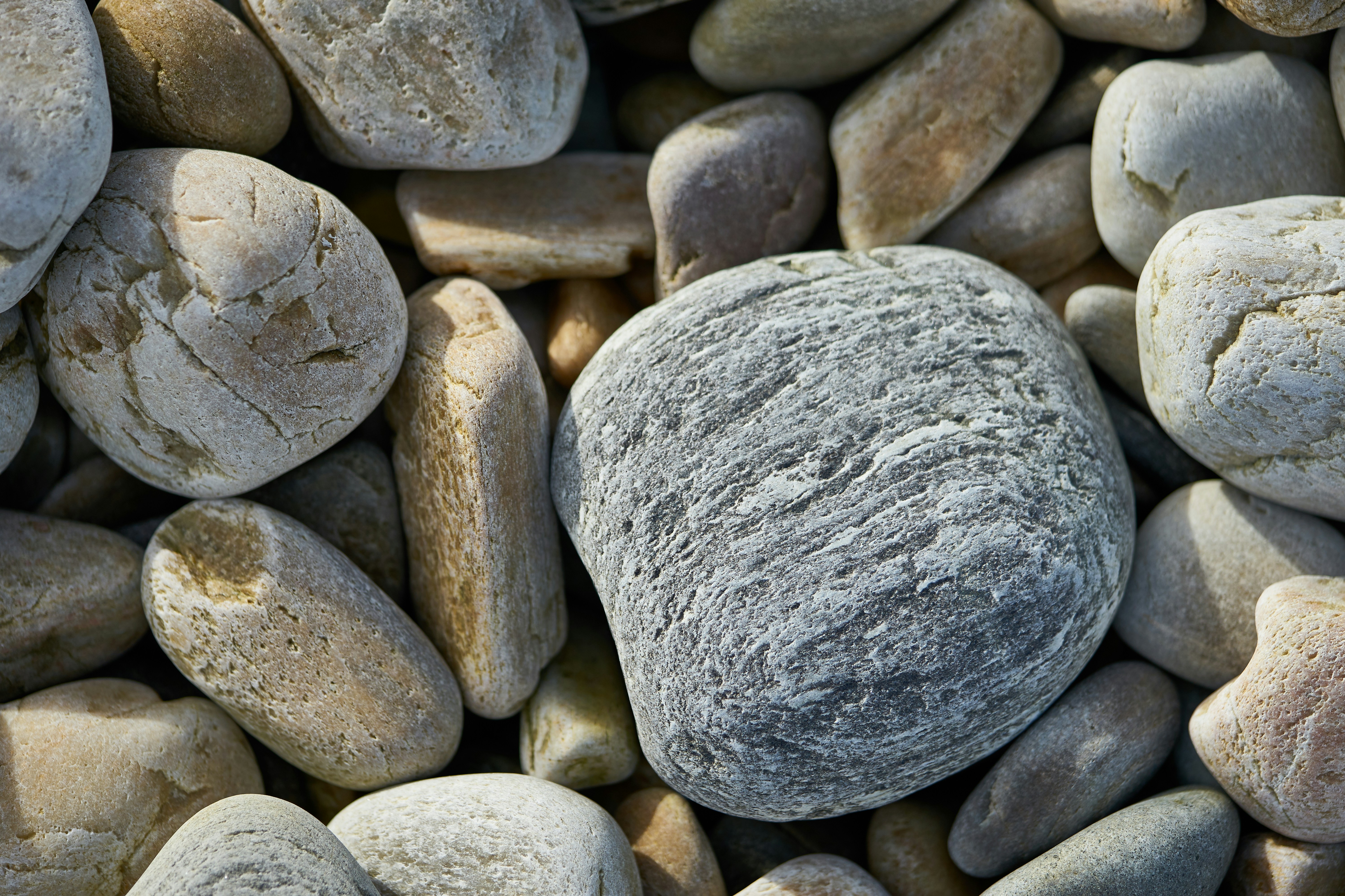 Photo by wolfgang_hasselmann