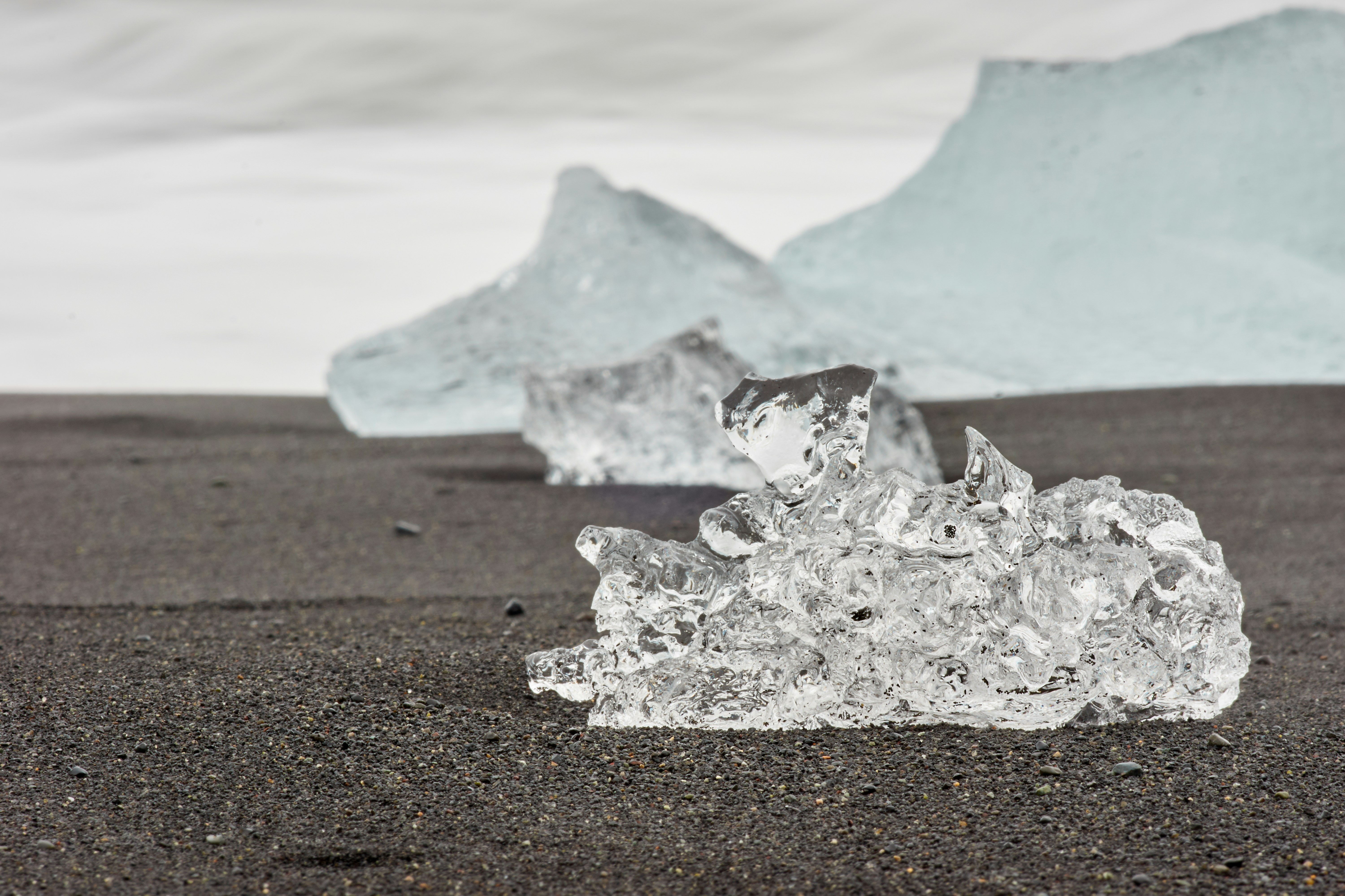 Photo by wolfgang_hasselmann