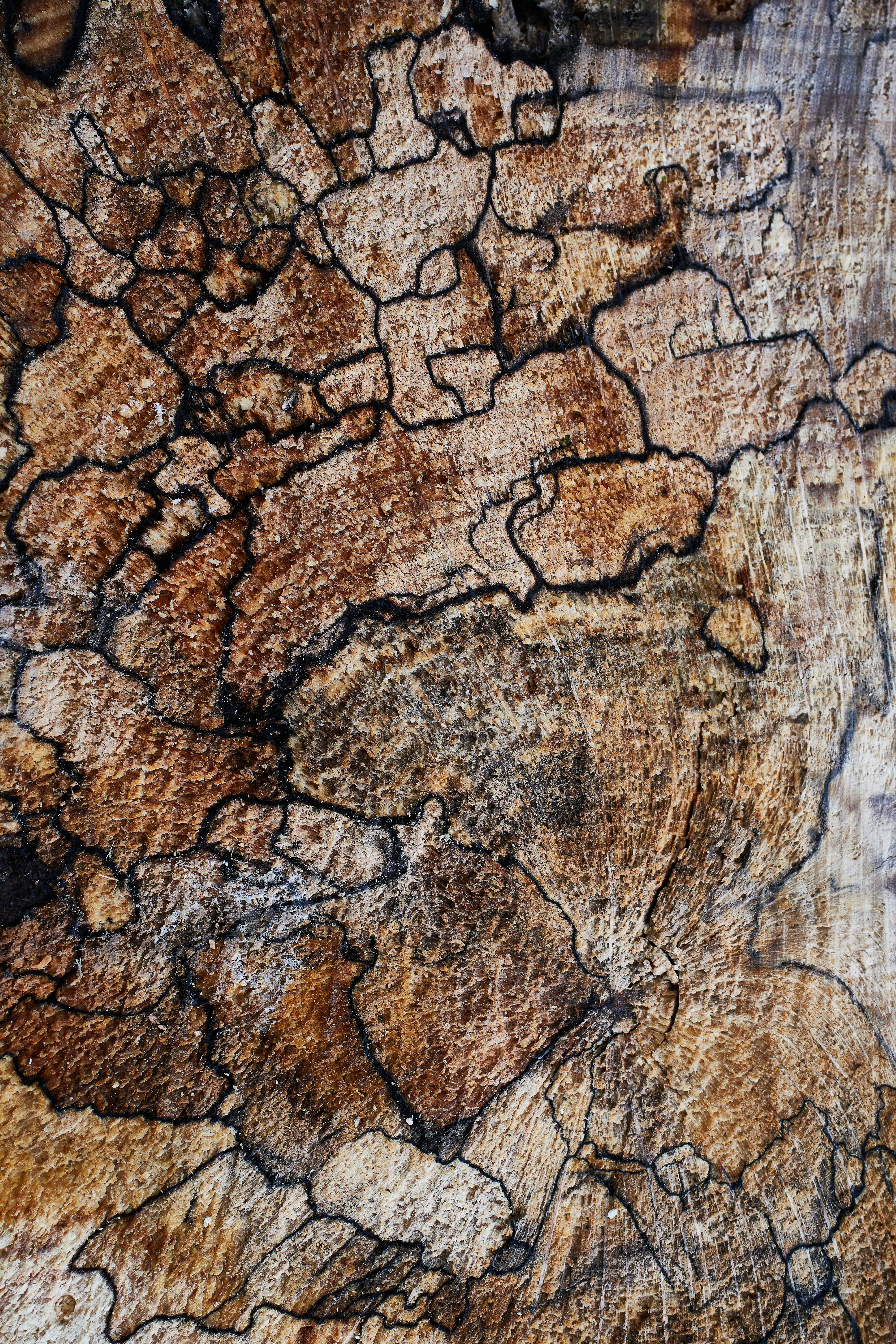 Rock Ground Pictures | Download Free Images on Unsplash