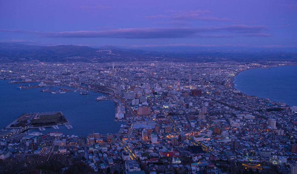 aerial view of cityscape and body of water