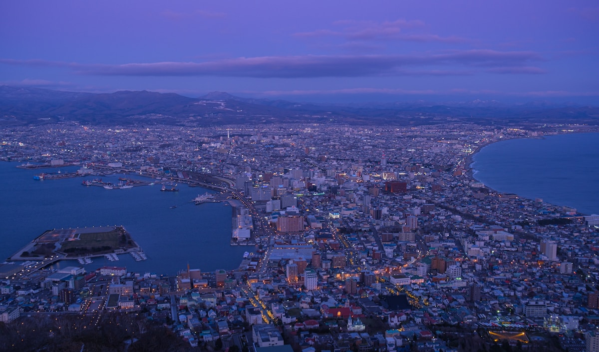 從函館山展望台俯瞰的港灣夜景，扇形市街兩側是海