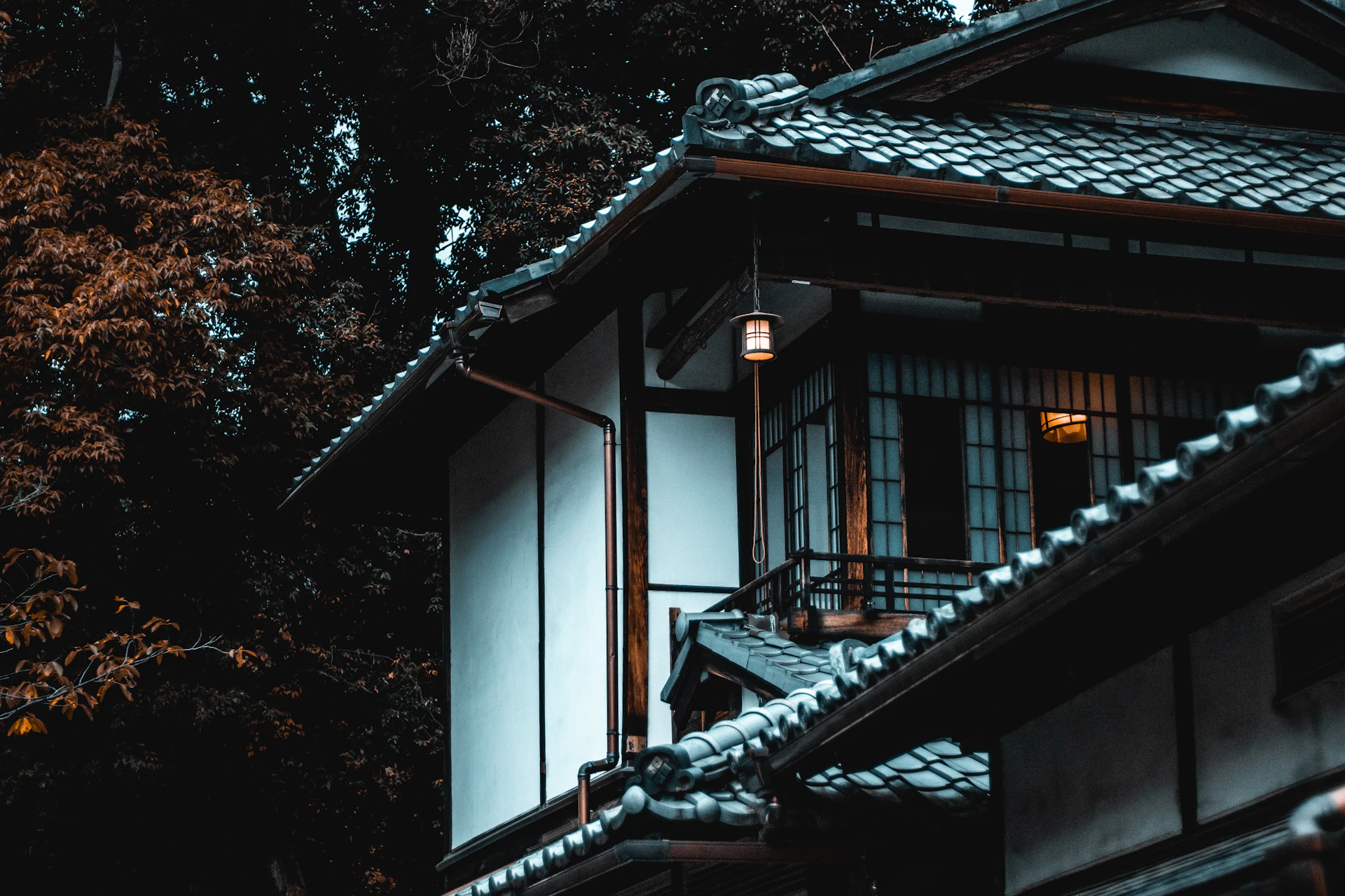 緑に囲まれた戸建て住宅