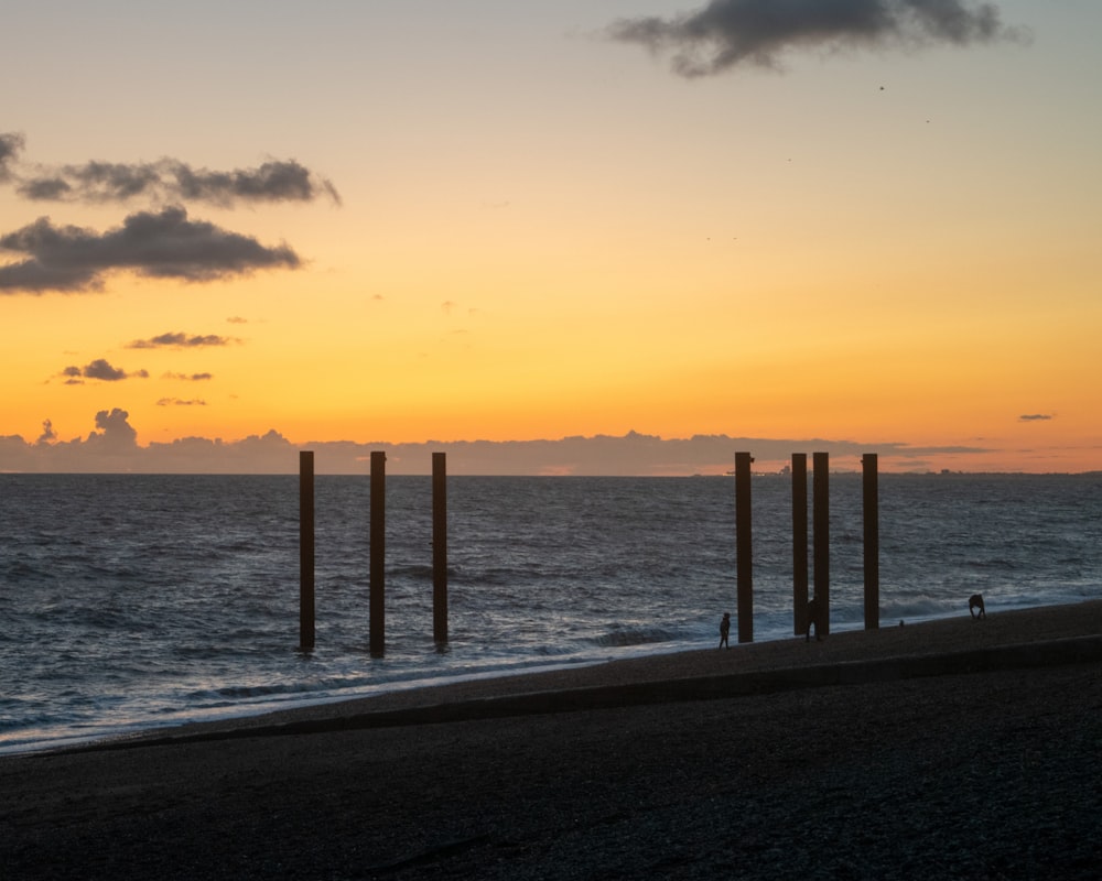 brown sea poles during golden hour