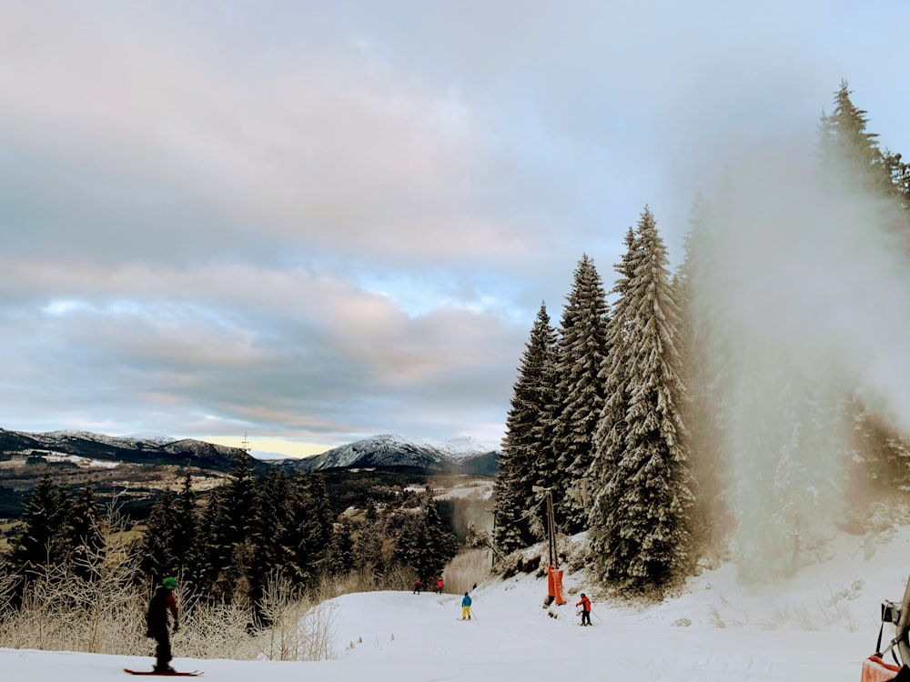 snow-covered trees and field under cloudy sky