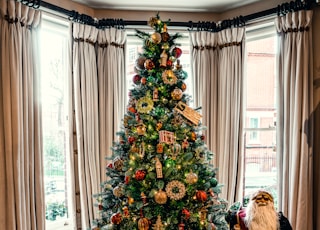 Christmas tree between Santa Claus dolls