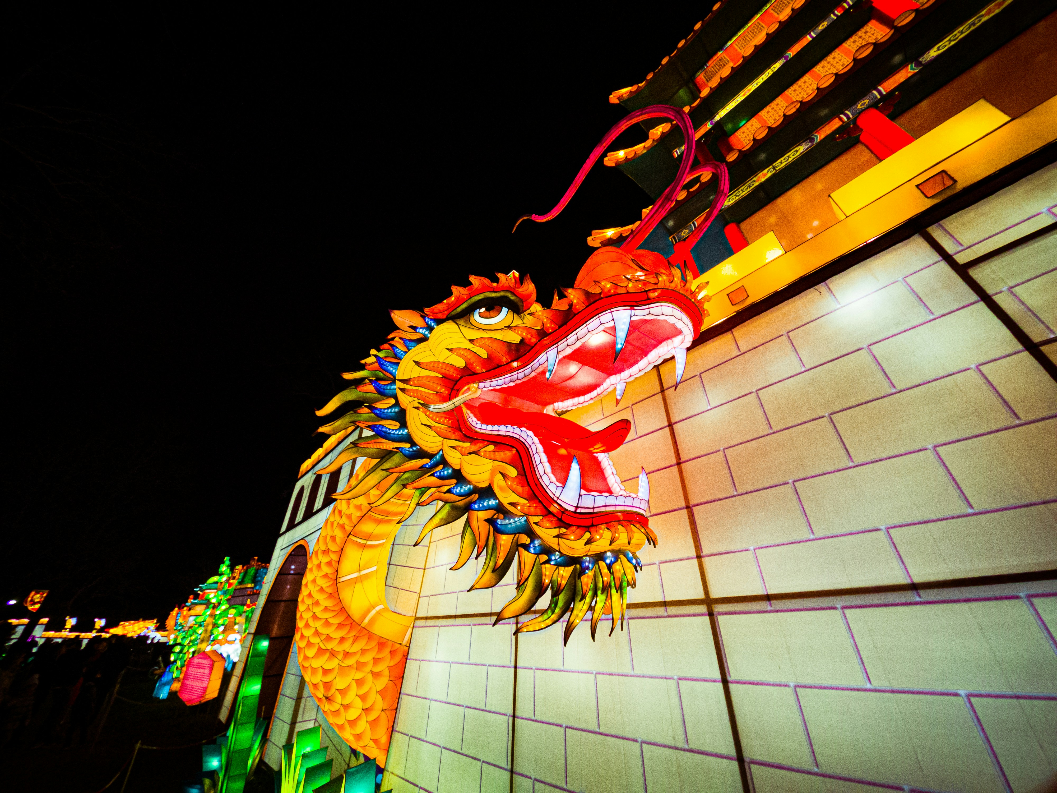 photo-1577793890941-a56d77532f24?ixid=M3wxMjA3fDB8MXxzZWFyY2h8OTR8fG91JTIwYWNoZXRlciUyMGRlcyUyMHRydWZmZXN8ZW58MHx8fHwxNzAxMzYwNzc2fDA%5Cu0026ixlib=rb-4.0.3