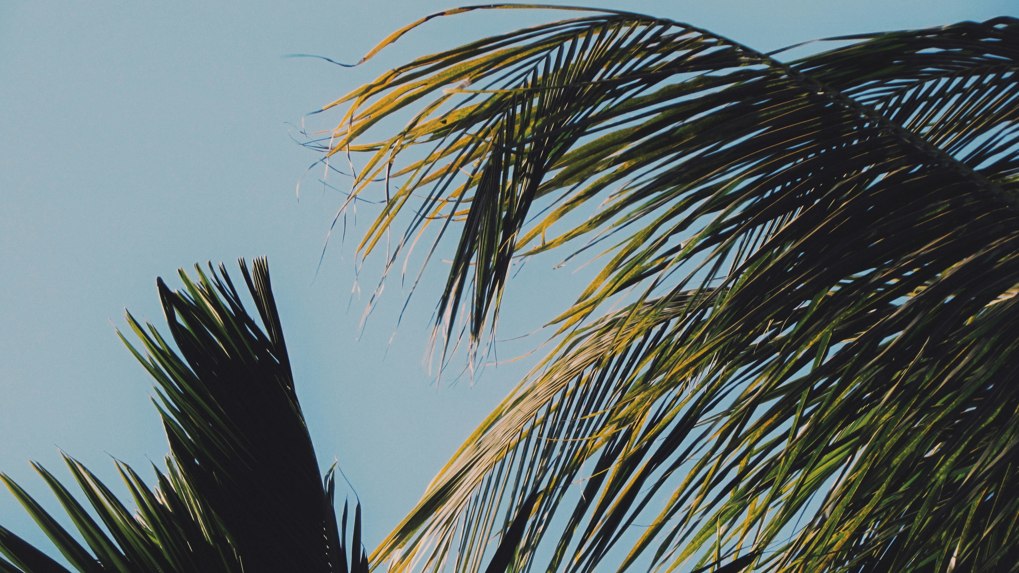 Photo by amlanjyotilahkar