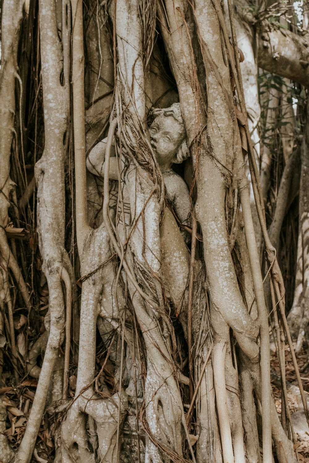 child sculpture in wooden tree