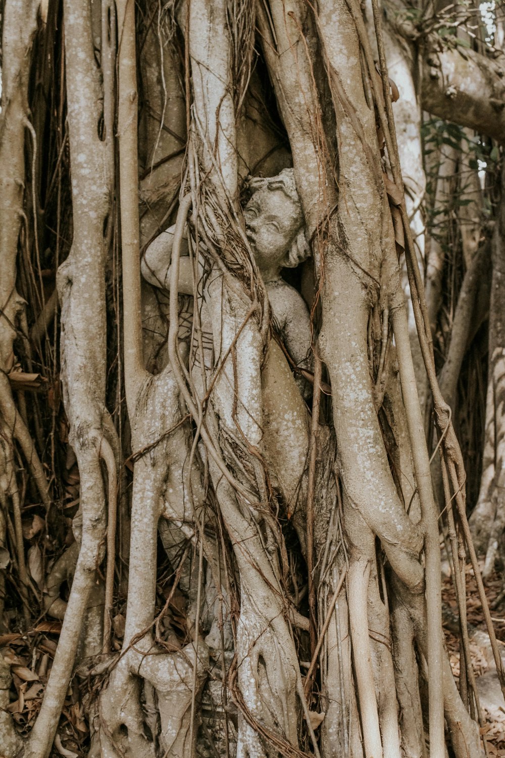escultura da criança na árvore de madeira