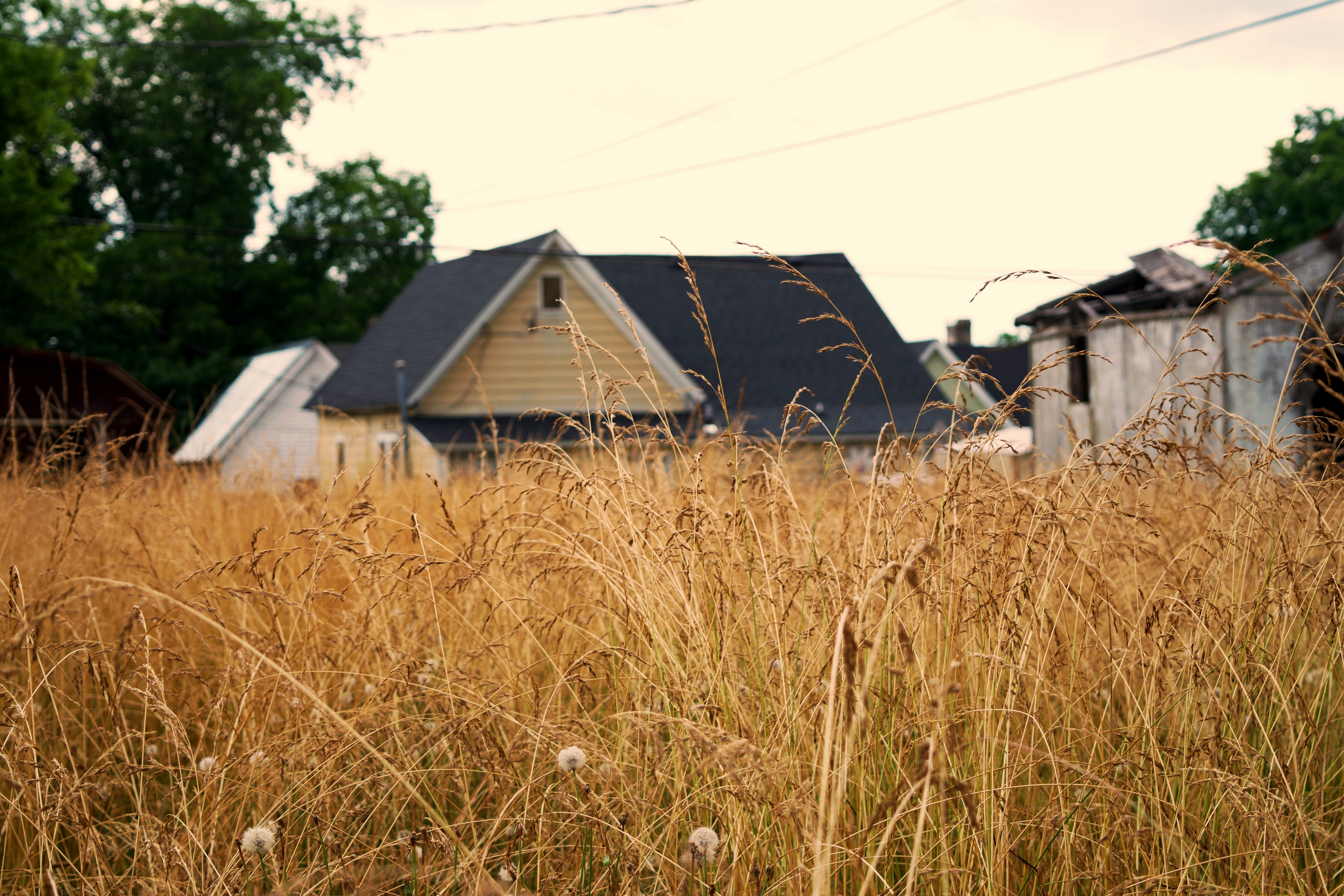 Photo by thenrybarca