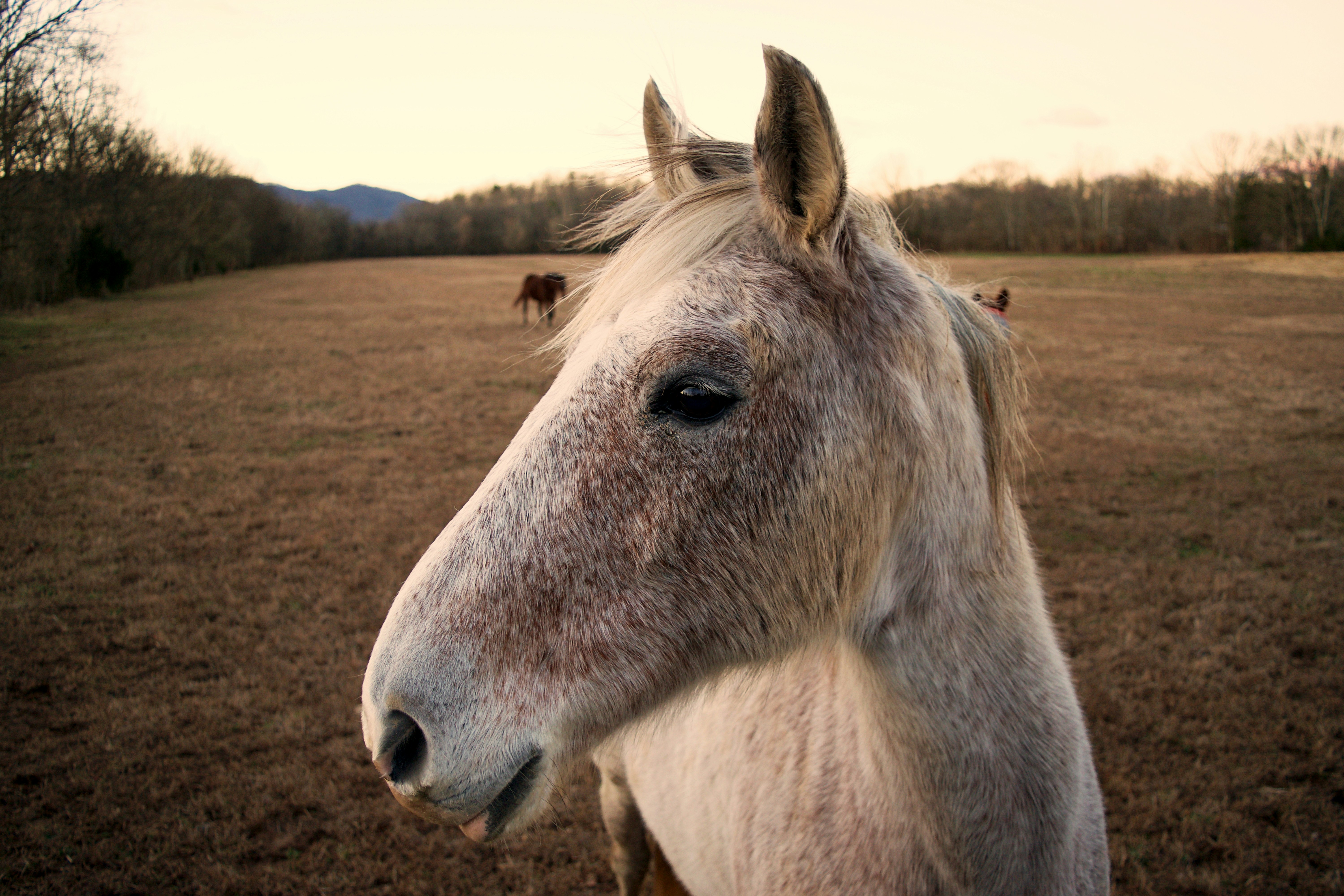 Photo by thenrybarca