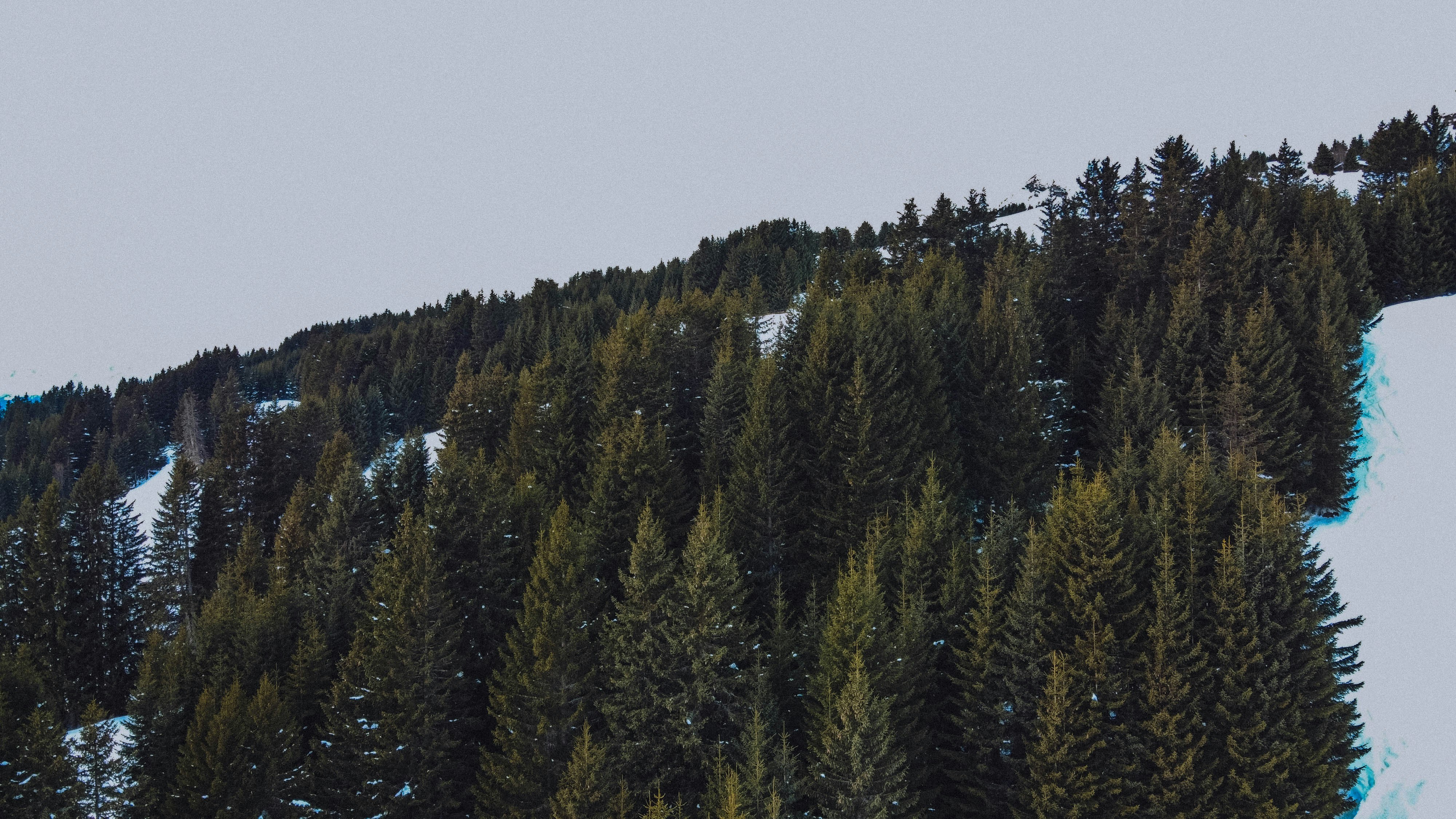 Photo by janoschphotos