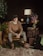 man sitting and looking at the camera