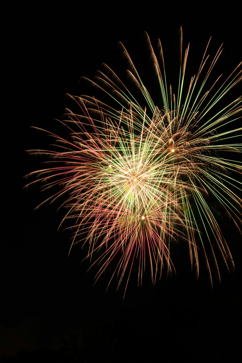 fireworks during night