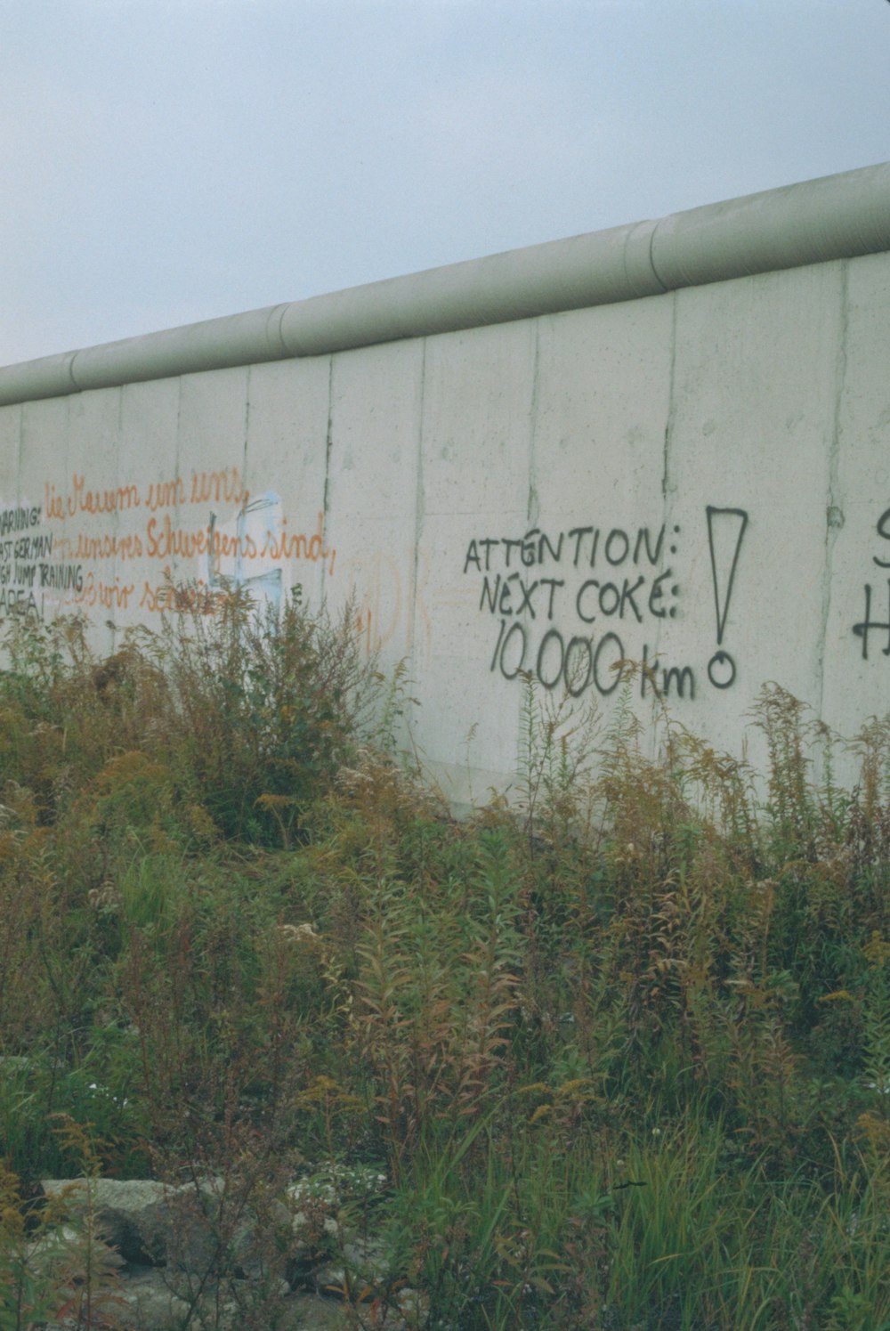 graffiti on the side of a train car