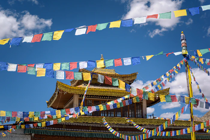 Best Specialty Coffee Roasters in Leh for Serious Coffee Drinkers