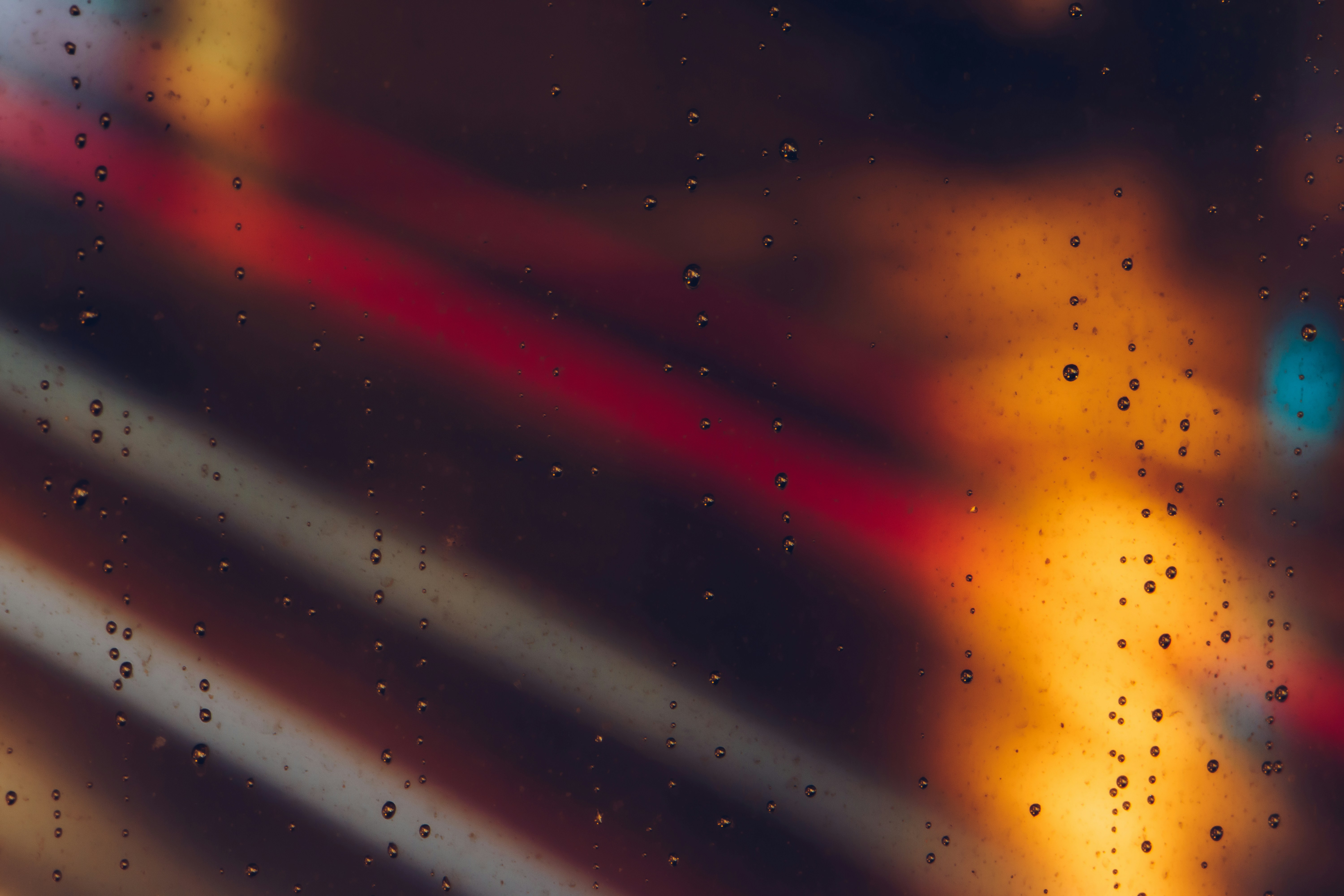 Photo by piensaenpixel