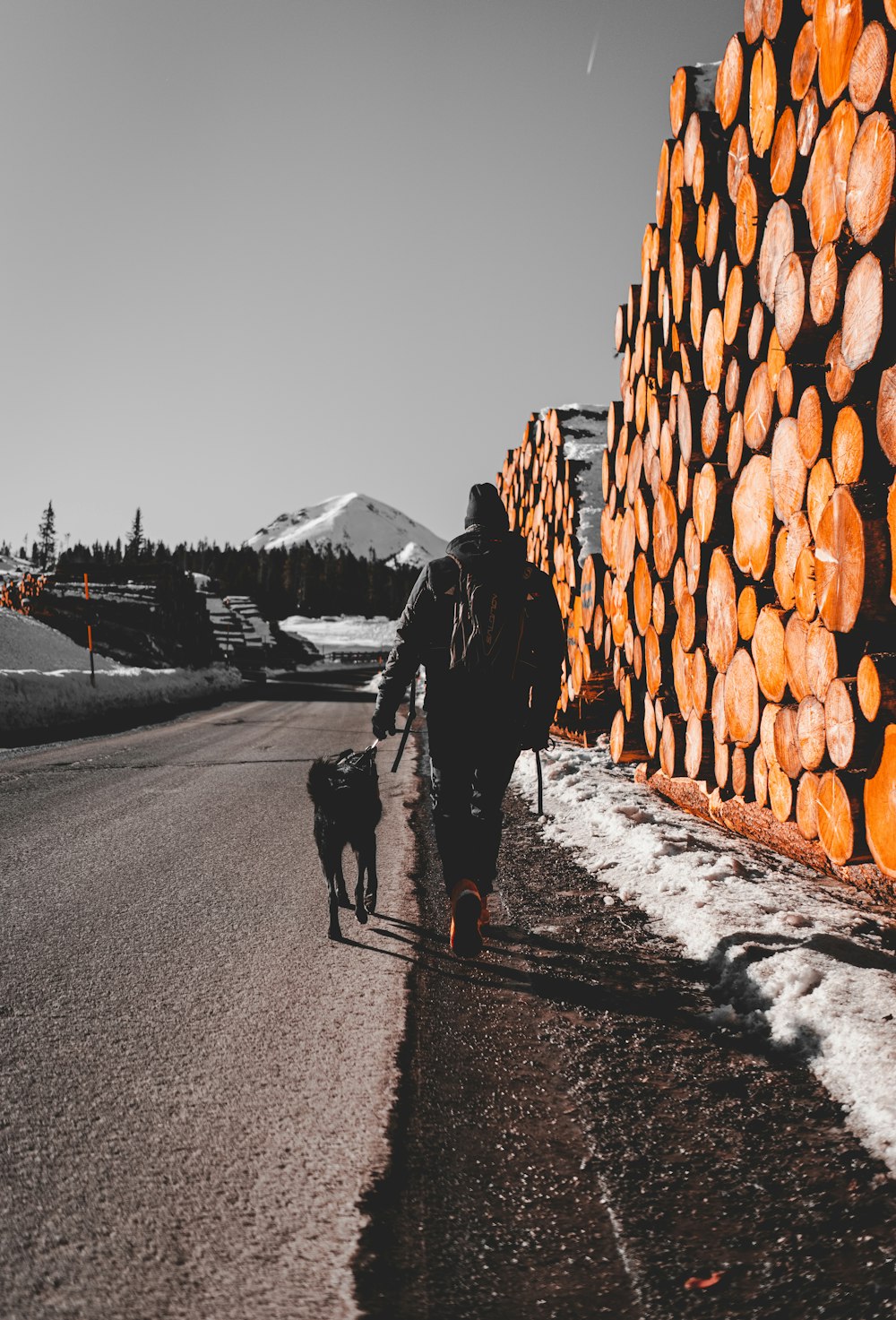 hombre sosteniendo a un perro