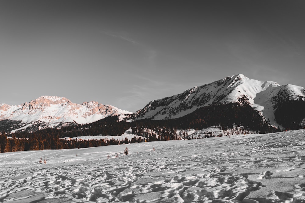 wide angle photo of mountain