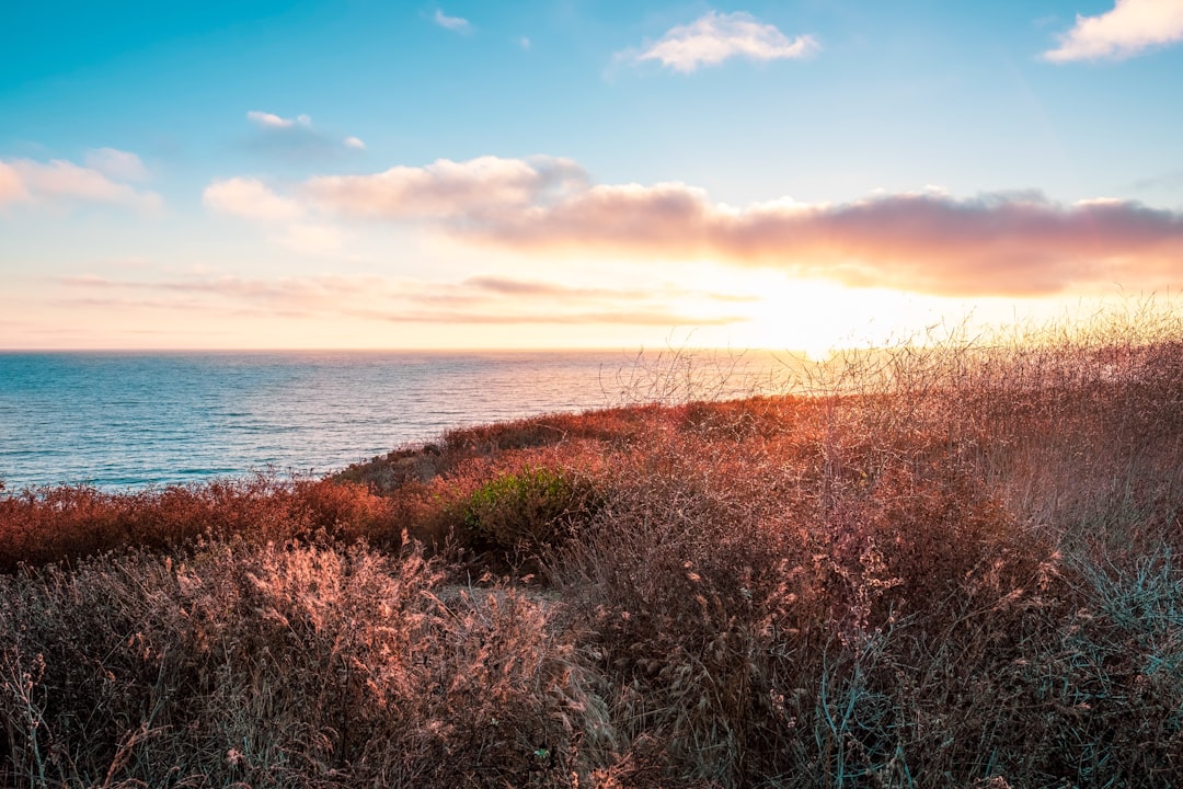 Sunset in Newport Beach, CA