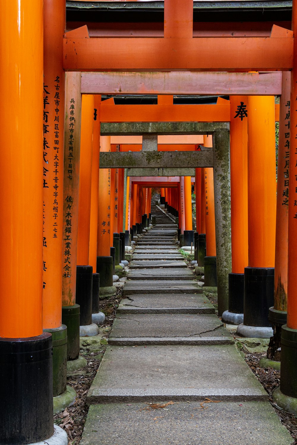 orange painted wall