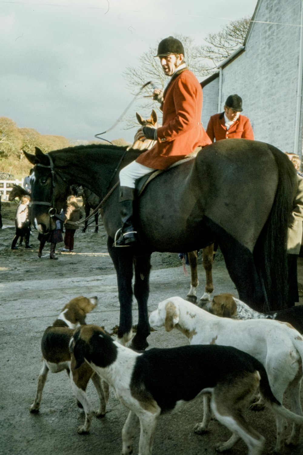 two men riding horses near dogs