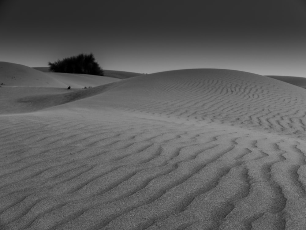 grayscale photo of desert during daytime