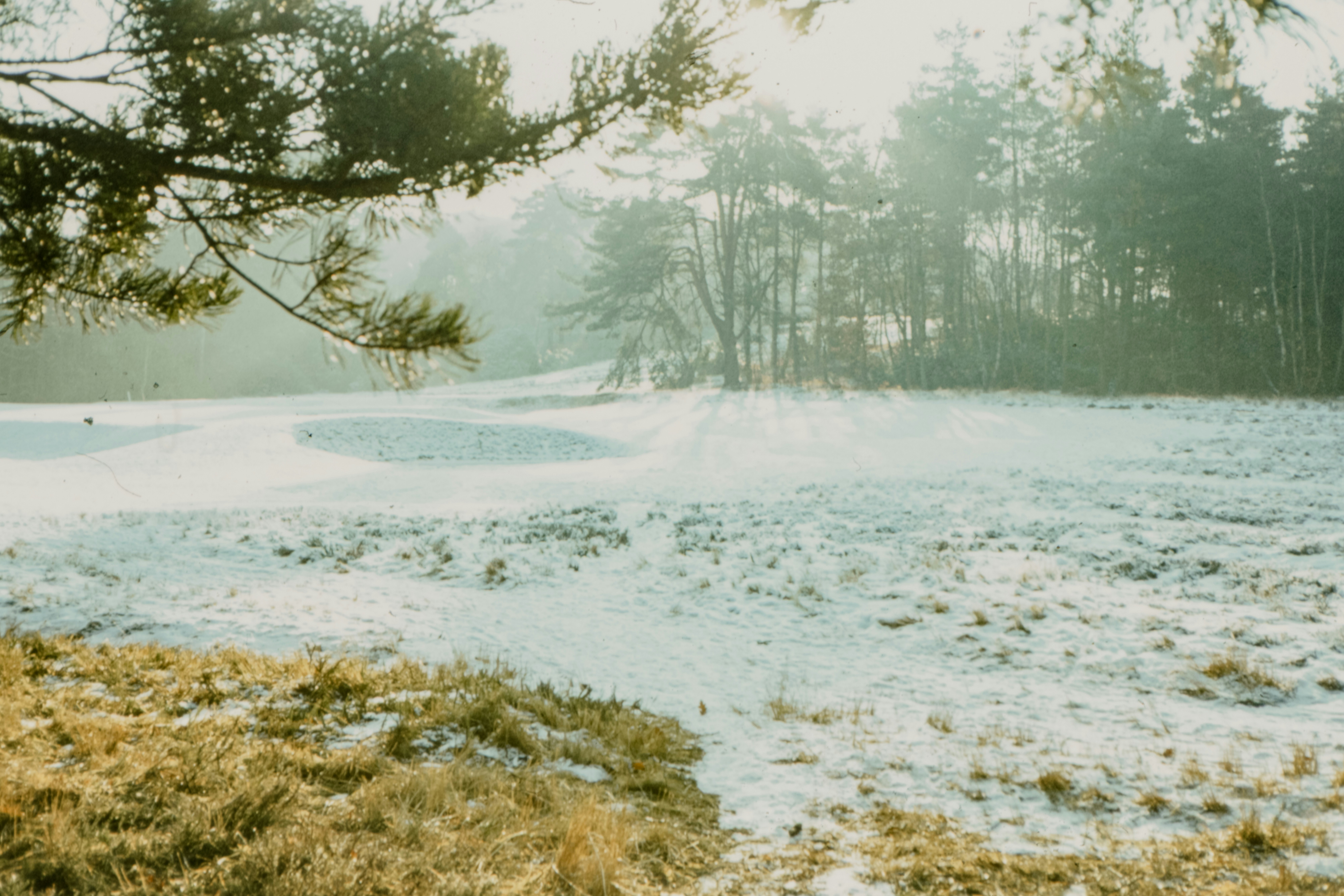 Photo by anniespratt