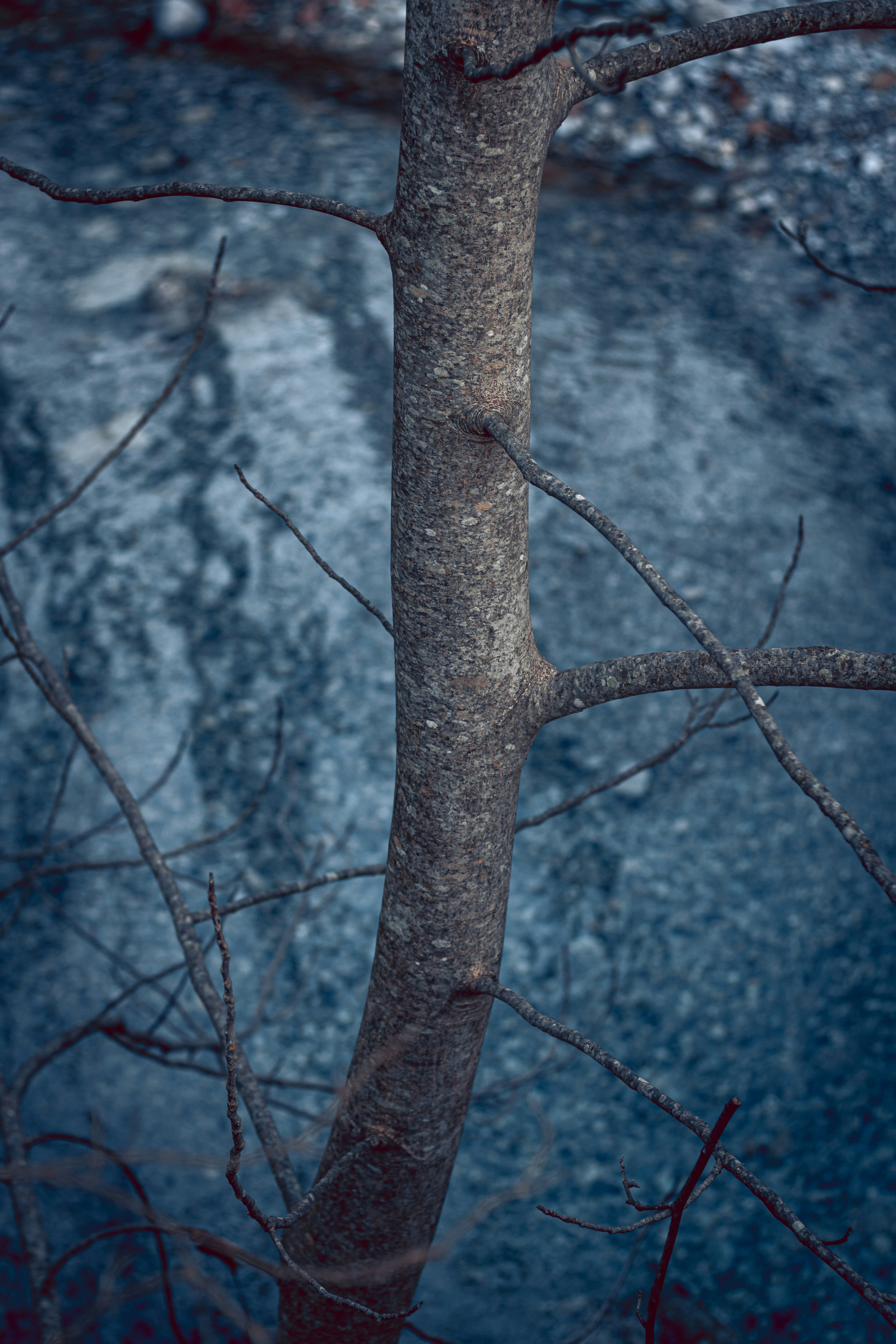 Photo by hellenicsun