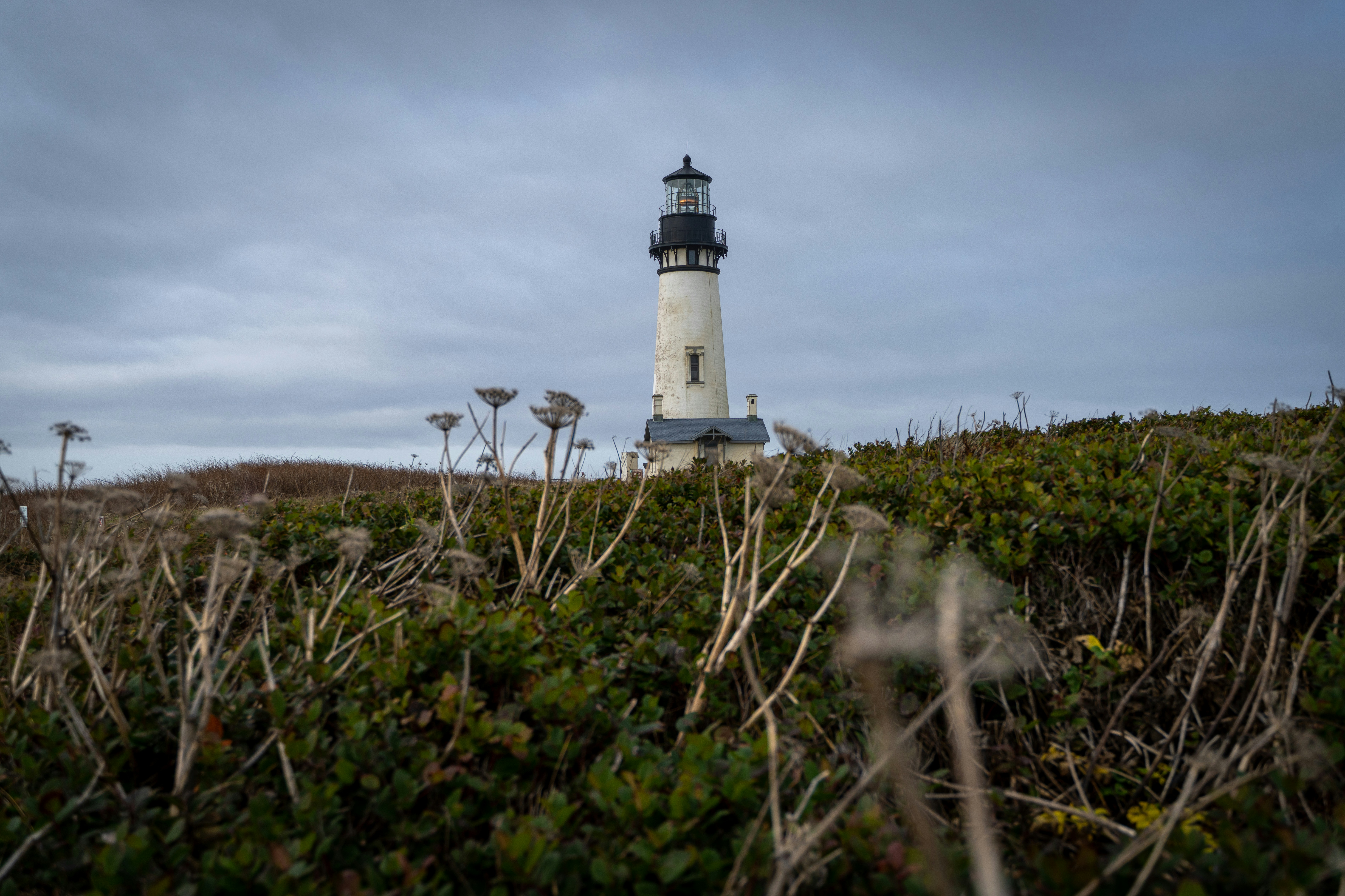 Photo by wanderingcrow