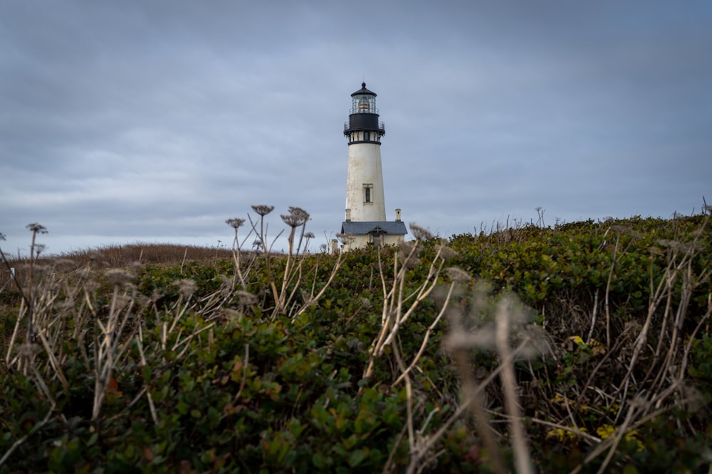 white lighthouse on grass field