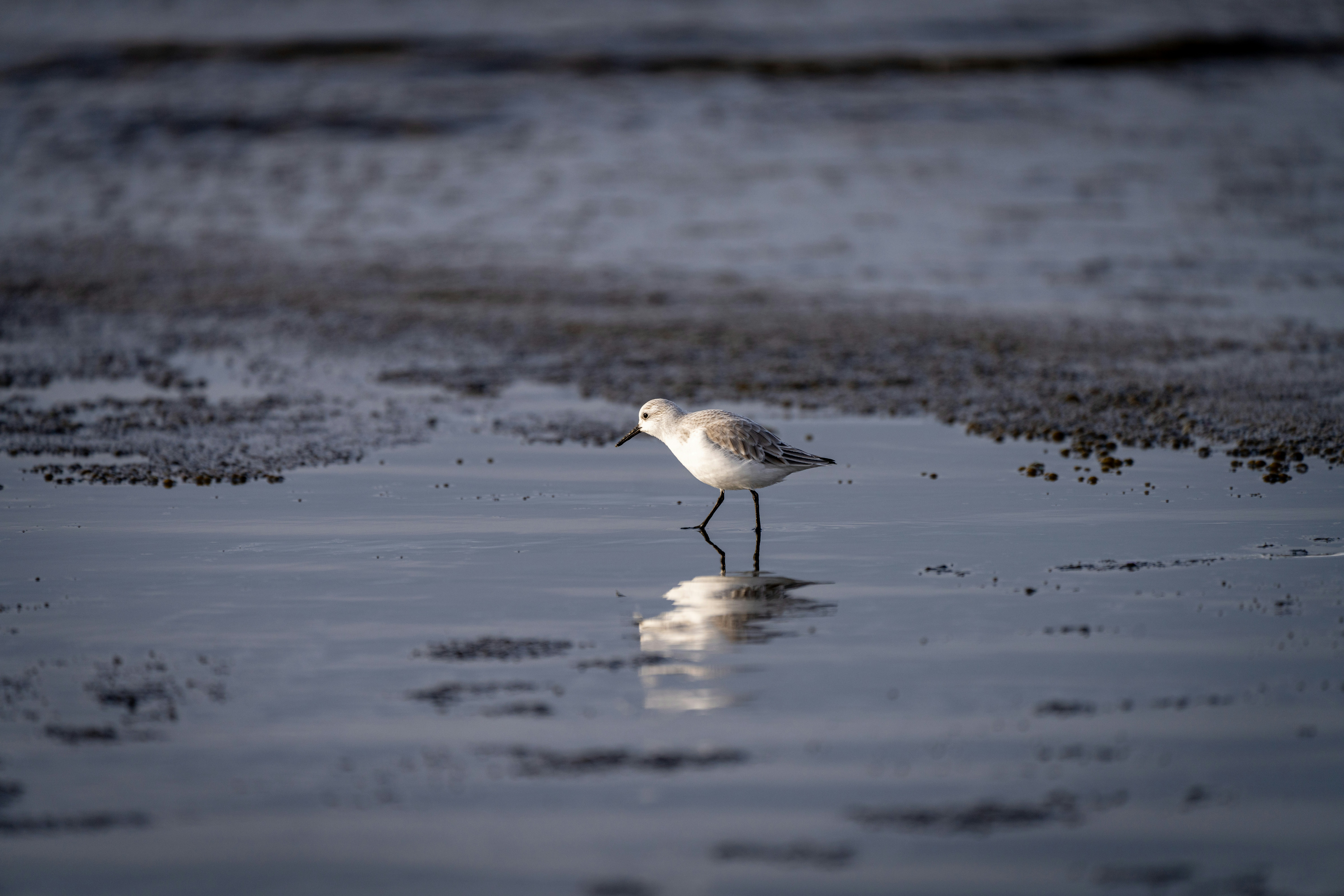 Photo by wanderingcrow