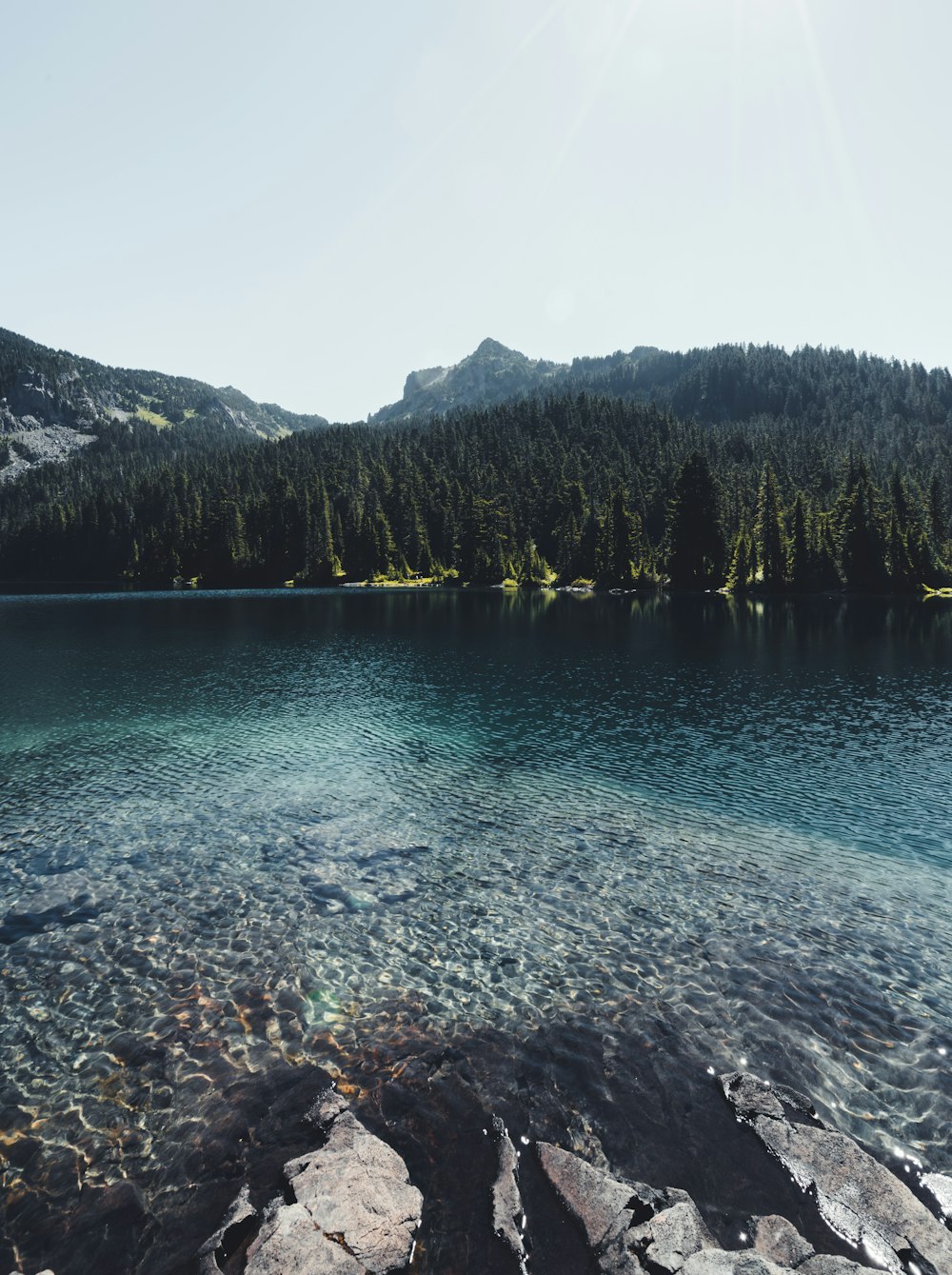 a body of water surrounded by trees and rocks