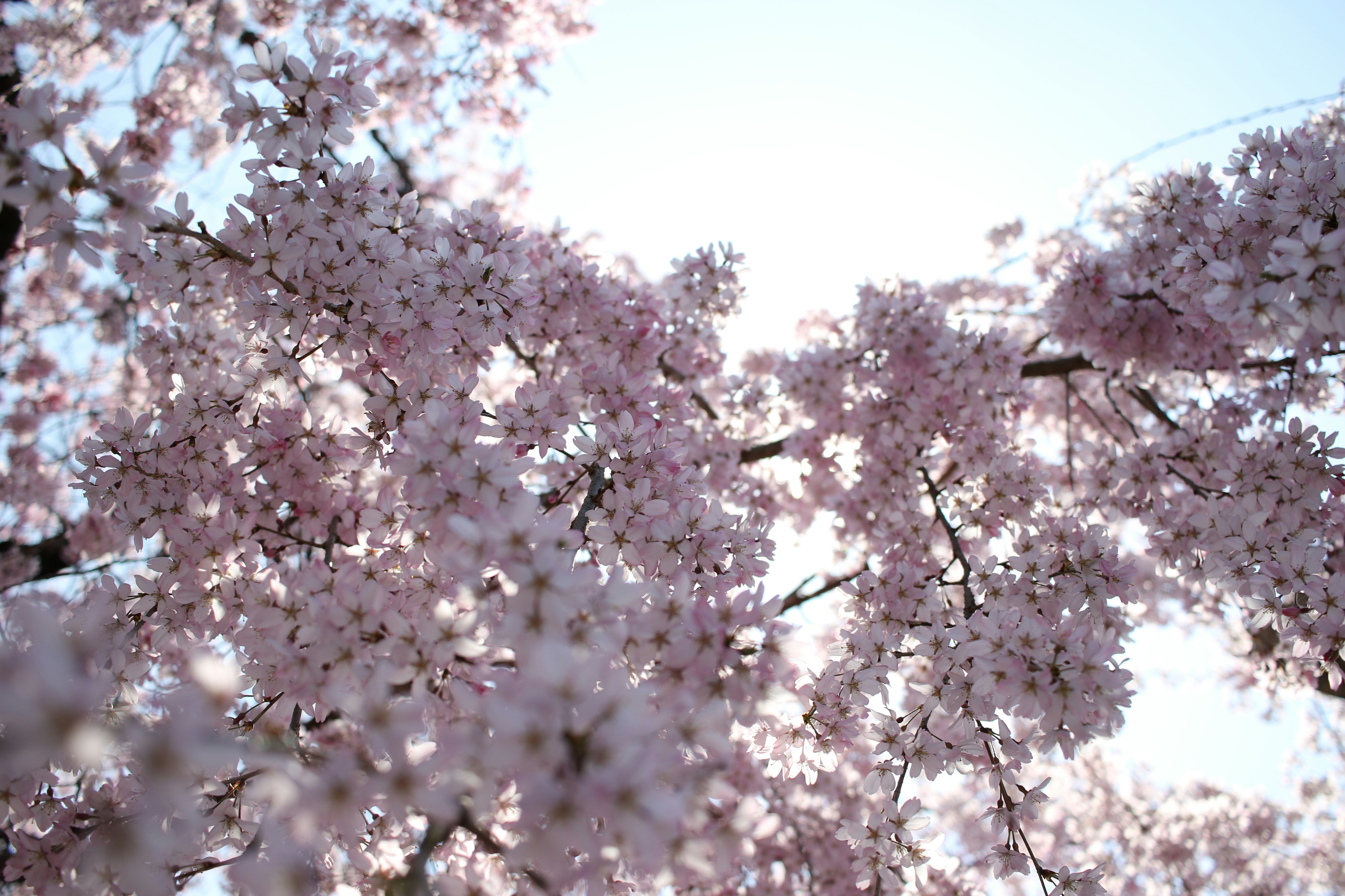 Photo by raleigh12884